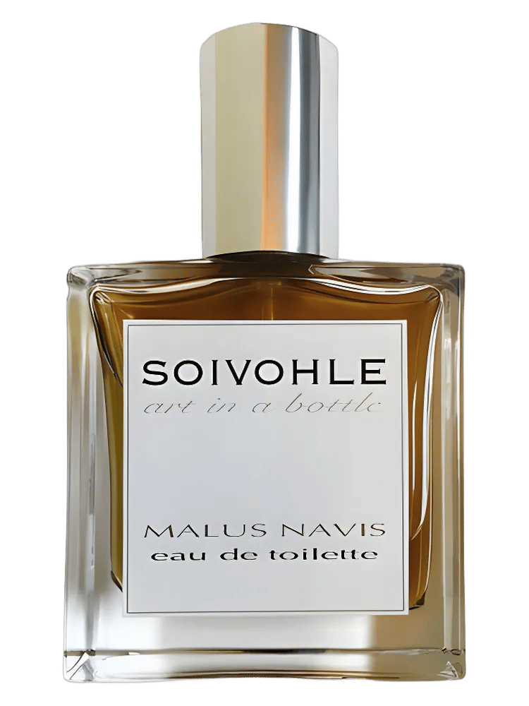 Malus Navis by Soivohle