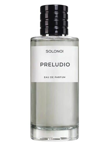 Preludio by Solonoi