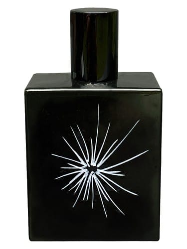 X-Ray by Space Fluid