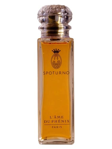 L'Âme du Phénix by Spoturno