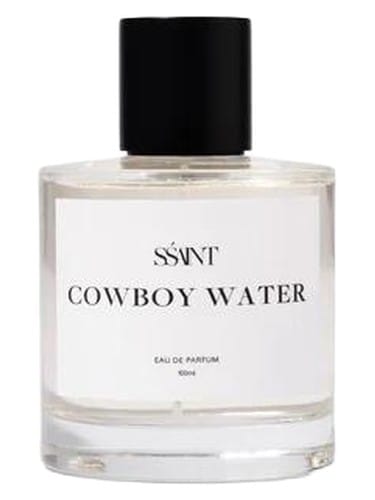 Cowboy Water by Sśaint