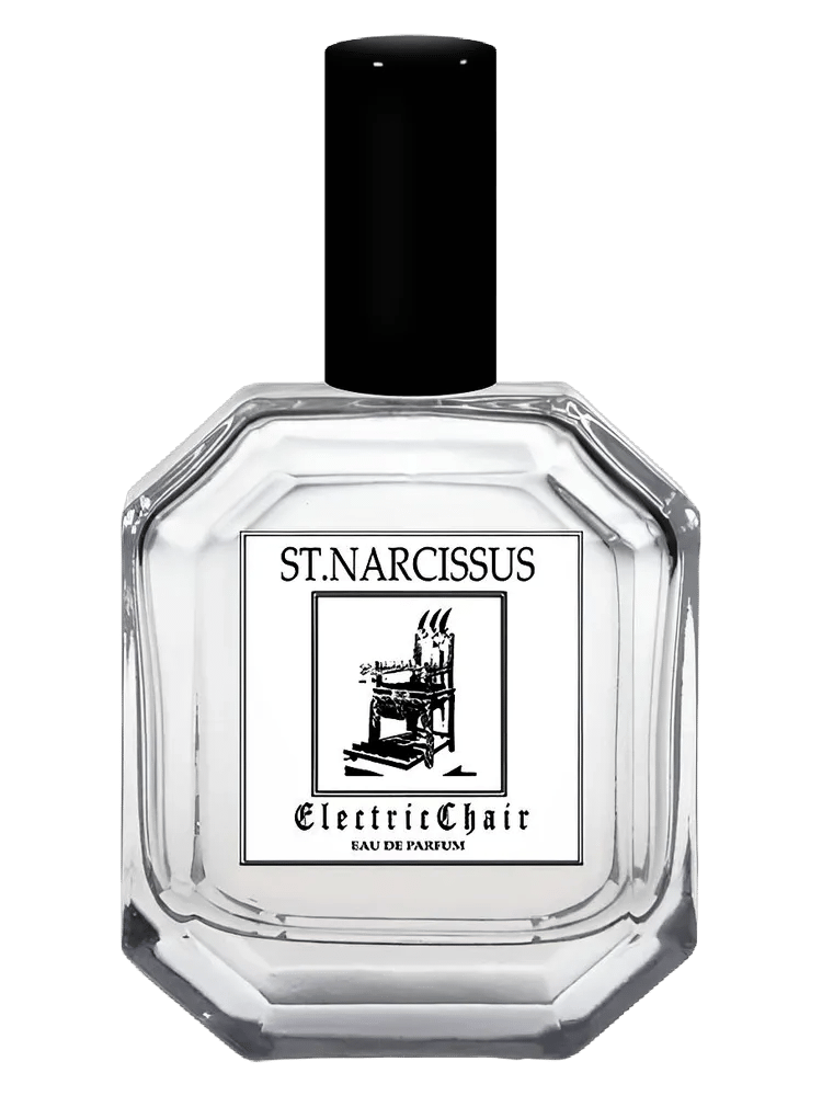 Electric Chair by St. Narcissus
