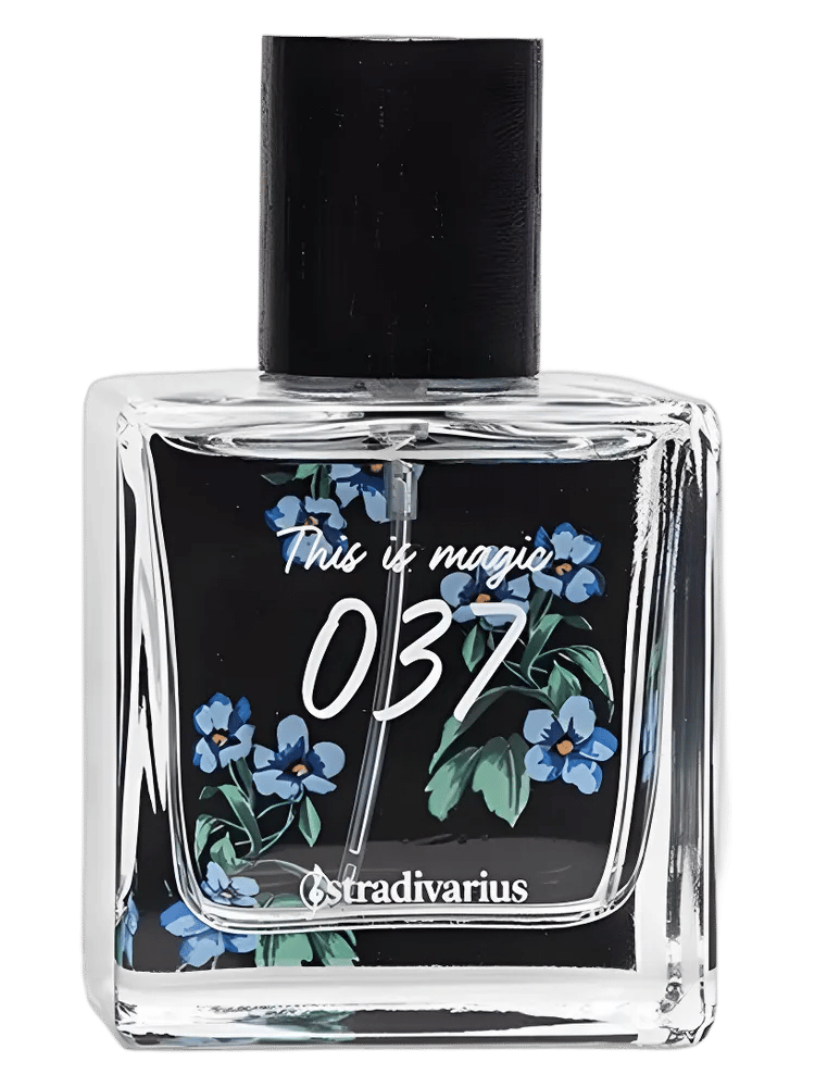 037 This Is Magic by Stradivarius