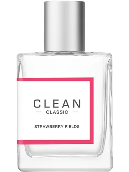 Strawberry Fields by Clean