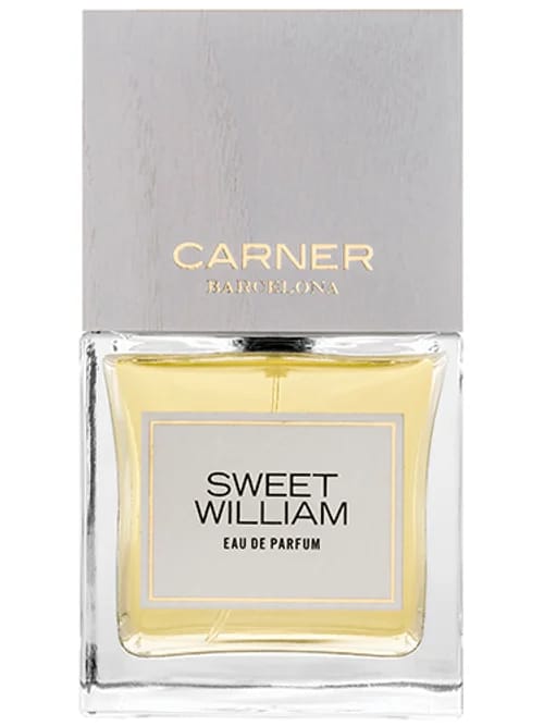 Sweet William by Carner Barcelona