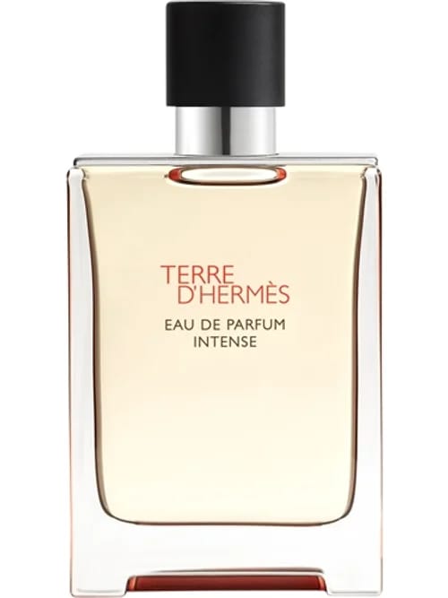 Terre D' Intense by Hermès