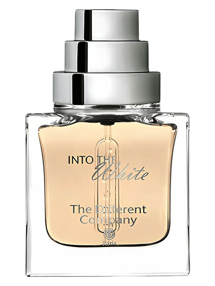 Into The White by The Different Company