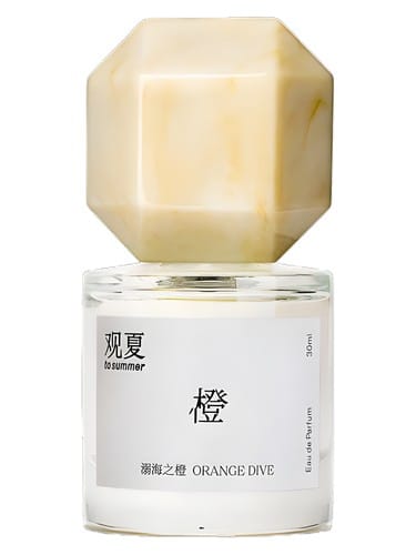 Orange Dive by To Summer