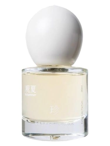 Pearl Box 珍珠与老木匣 by To Summer