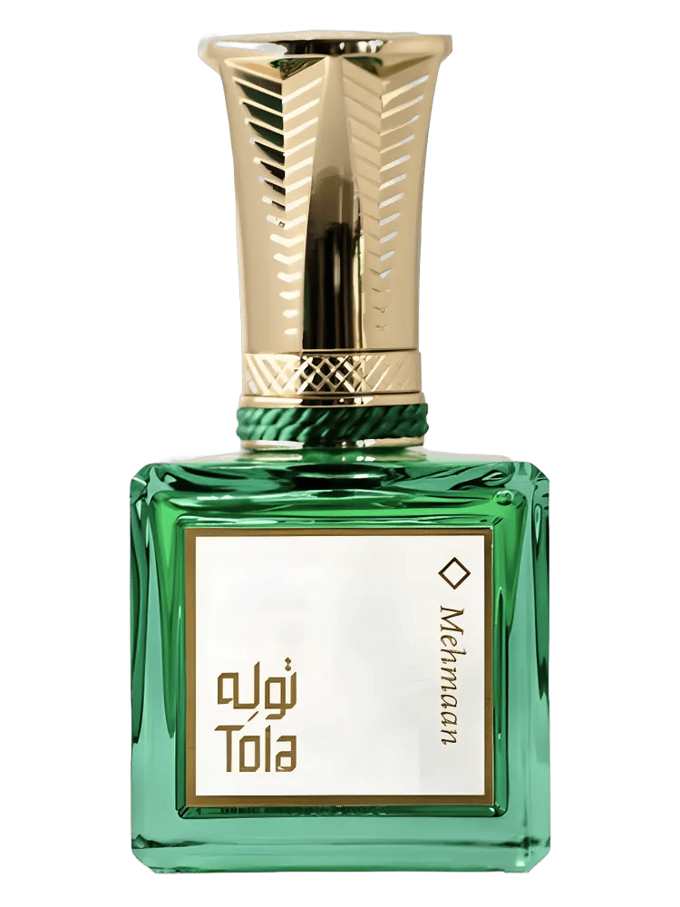 Mehmaan by Tola