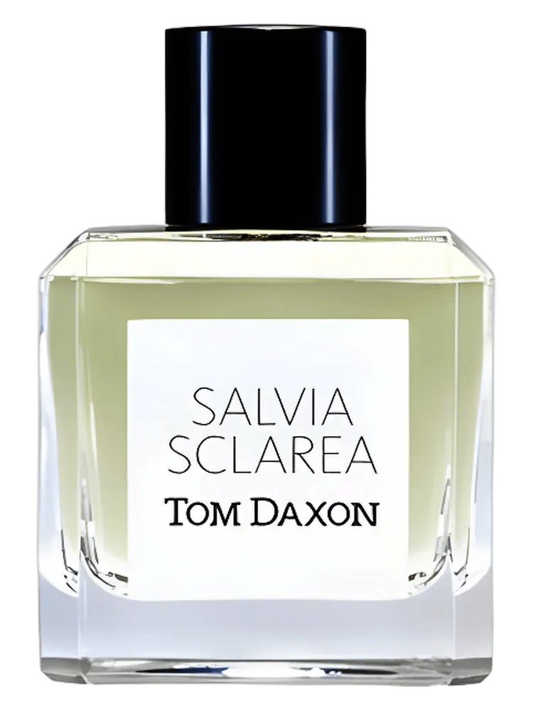 Salvia Sclarea by Tom Daxon