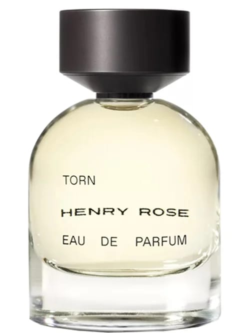 Torn by Henry Rose