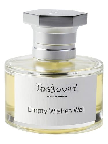 Empty Wishes Well by Toskovat'