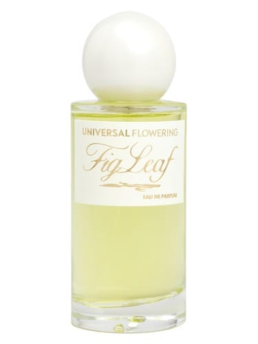 Fig Leaf by Universal Flowering