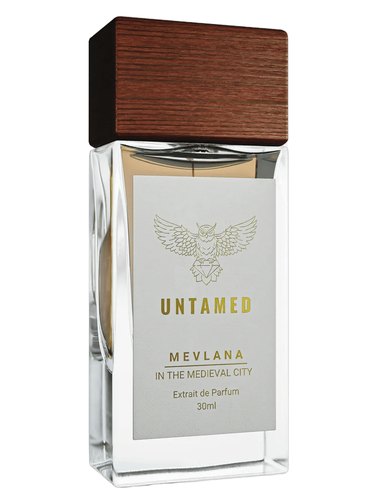 Mevlana - In The Medieval City by UNTAMED
