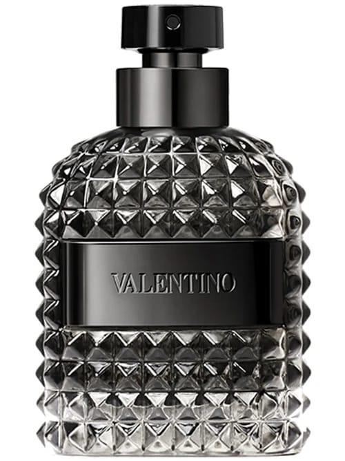 Uomo Intense by Valentino