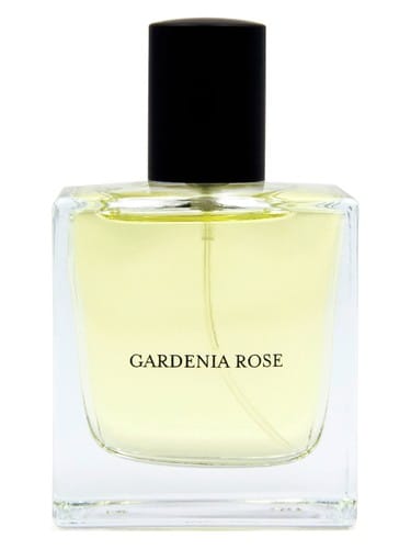 Gardenia Rose by Vdot