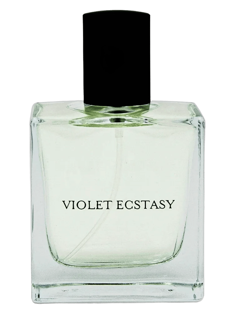 Violet Ecstasy by Vdot