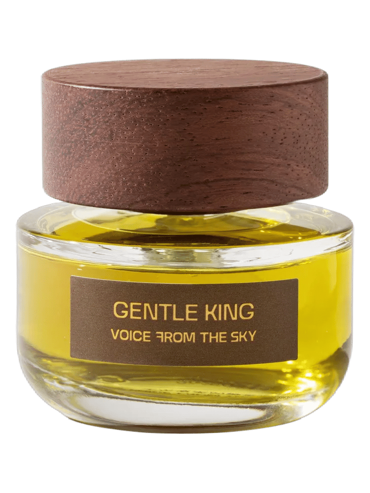 Gentle King by Voice From The Sky