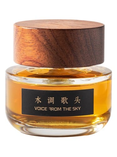 Talking To The Moon by Voice From The Sky