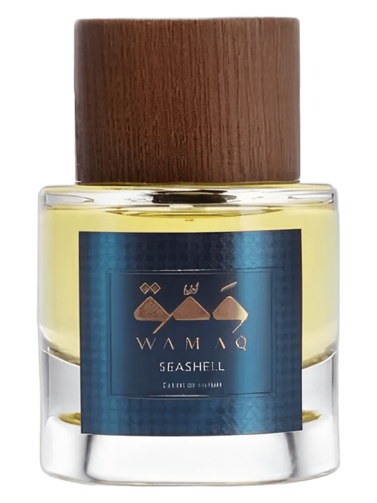 Seashell by WAMAQ