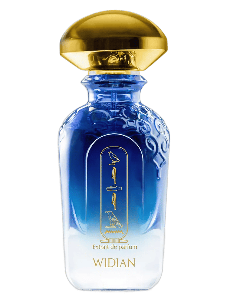 Aswan by Widian
