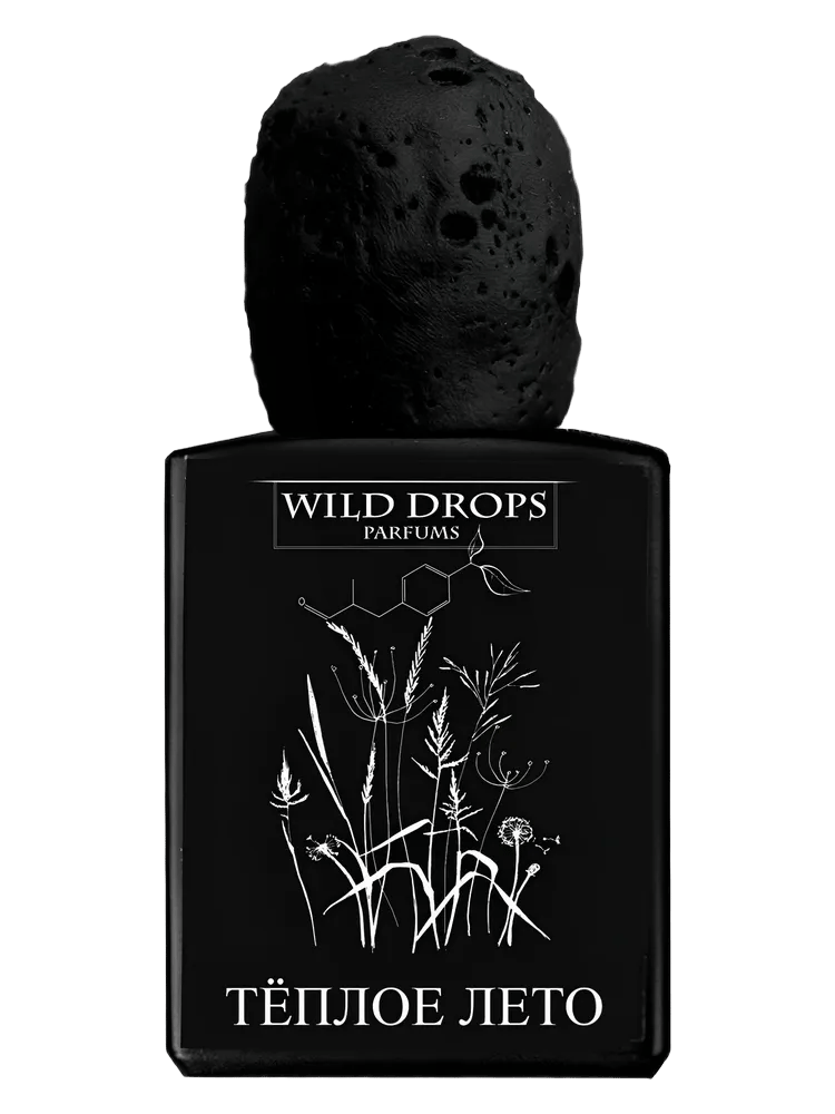 Warm Summer 2 (Теплое Лето 2) by Wild Drops Parfums
