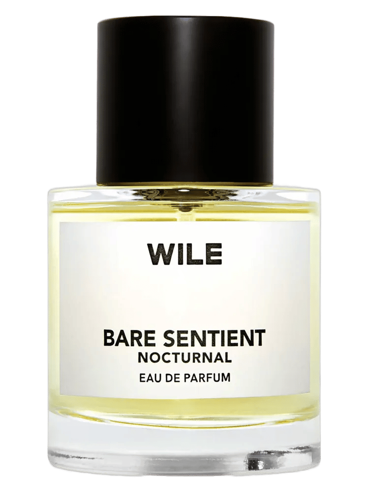 Bare Sentient Nocturnal by WILE