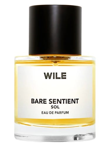 Bare Sentient Sol by WILE