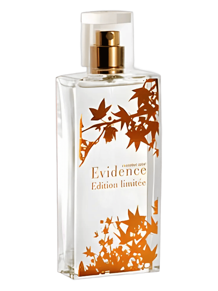 Comme Une Evidence Limited Edition 2008 by Yves Rocher