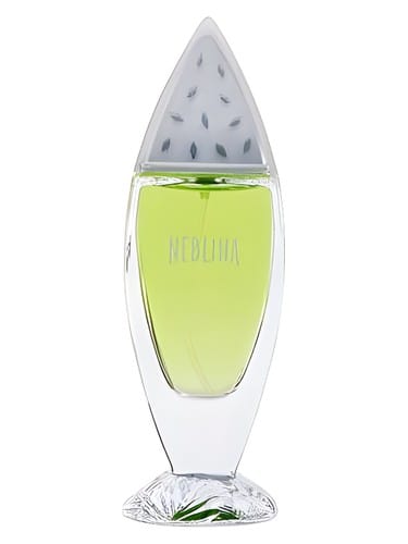 Néblina by Yves Rocher