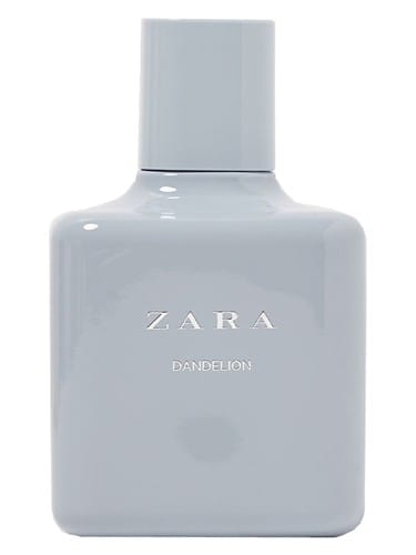 Dandelion by Zara
