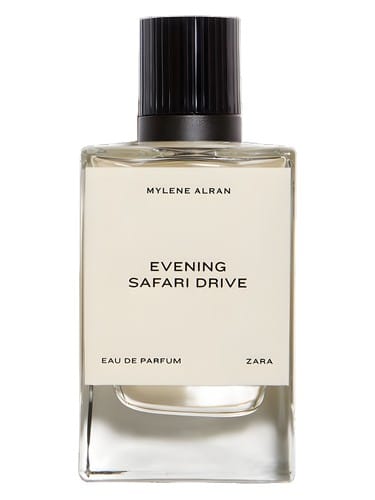 Evening Safari Drive by Zara