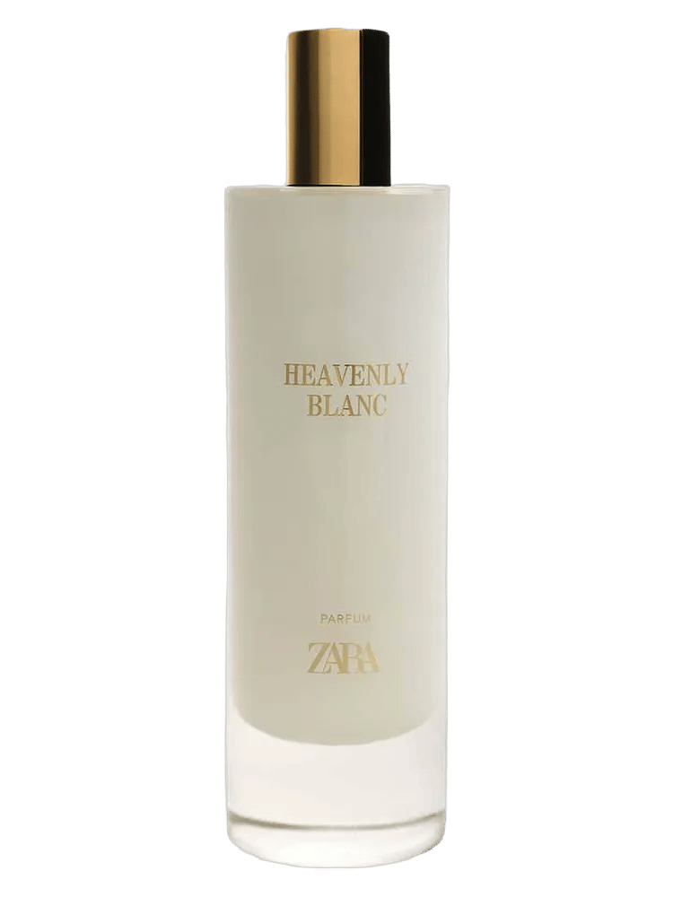Heavenly Blanc by Zara