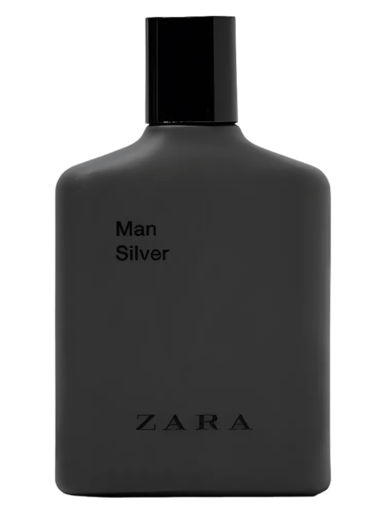 Man Silver by Zara