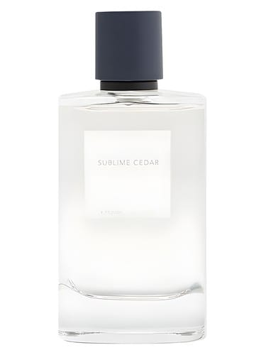 Sublime Cedar by Zara