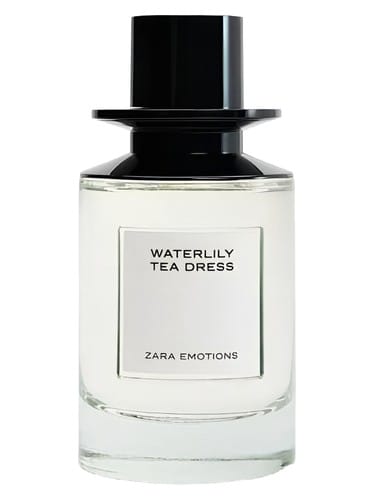 Waterlily Tea Dress by Zara