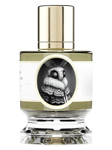 Moth by Zoologist Perfumes
