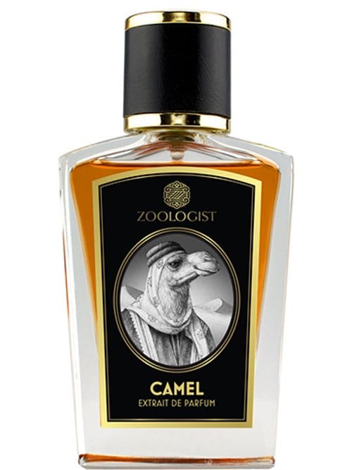 Camel by Zoologist