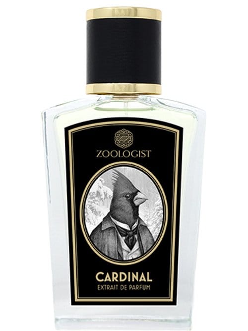 Cardinal by Zoologist