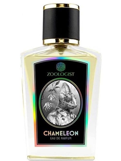 Chameleon by Zoologist