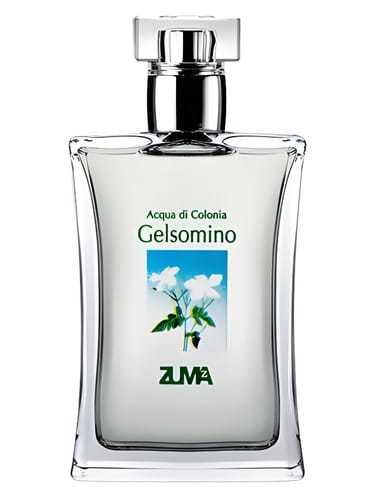 Gelsomino by Zuma
