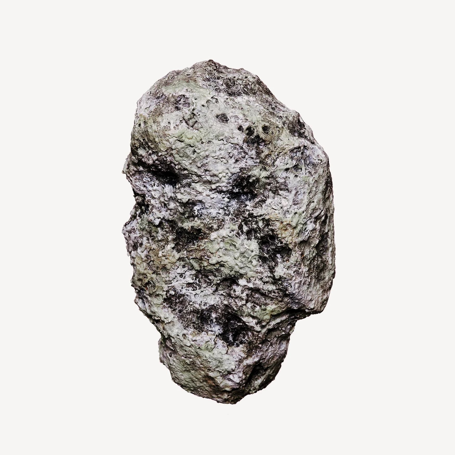 Cachalox (Ambergris)