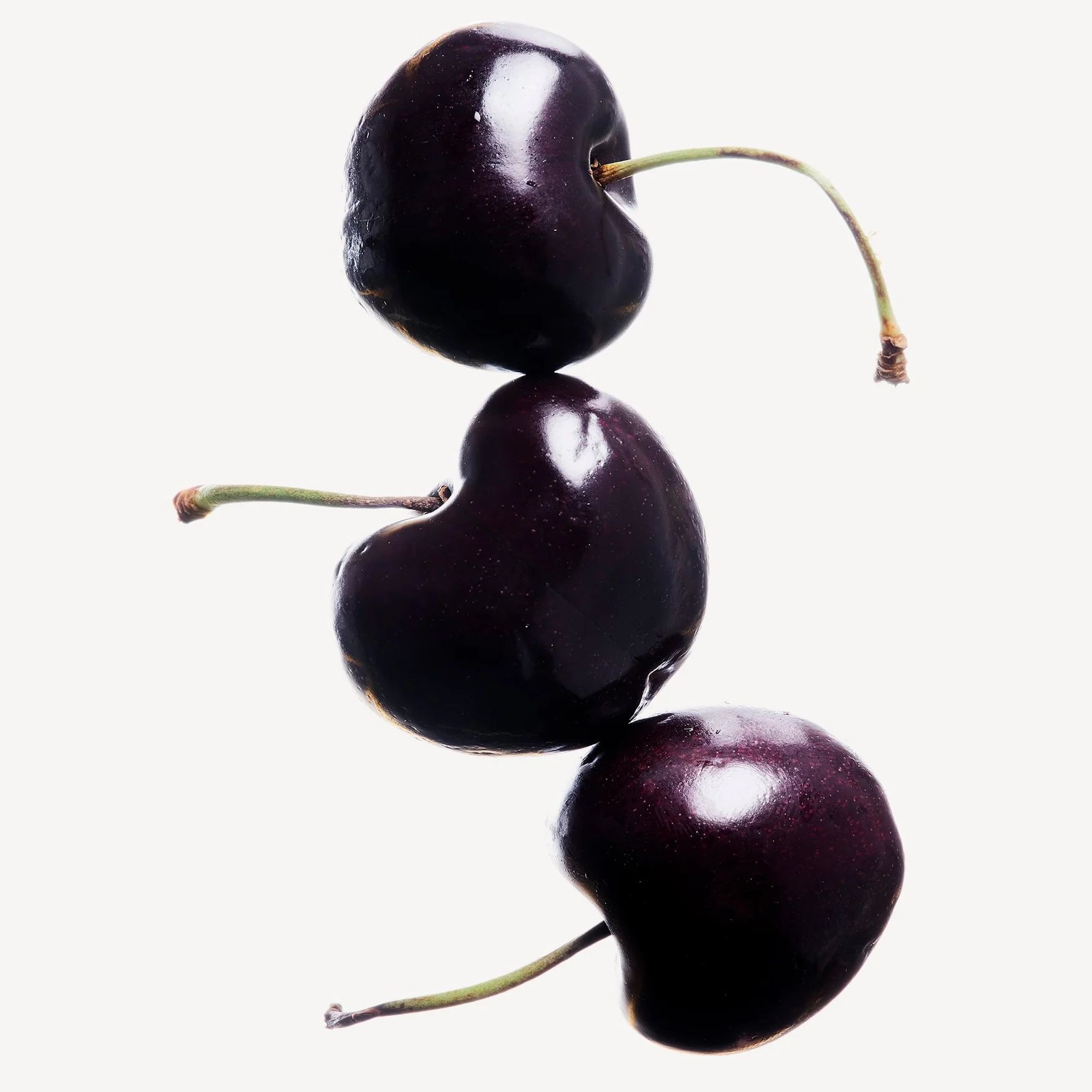 Cherry (Morello)