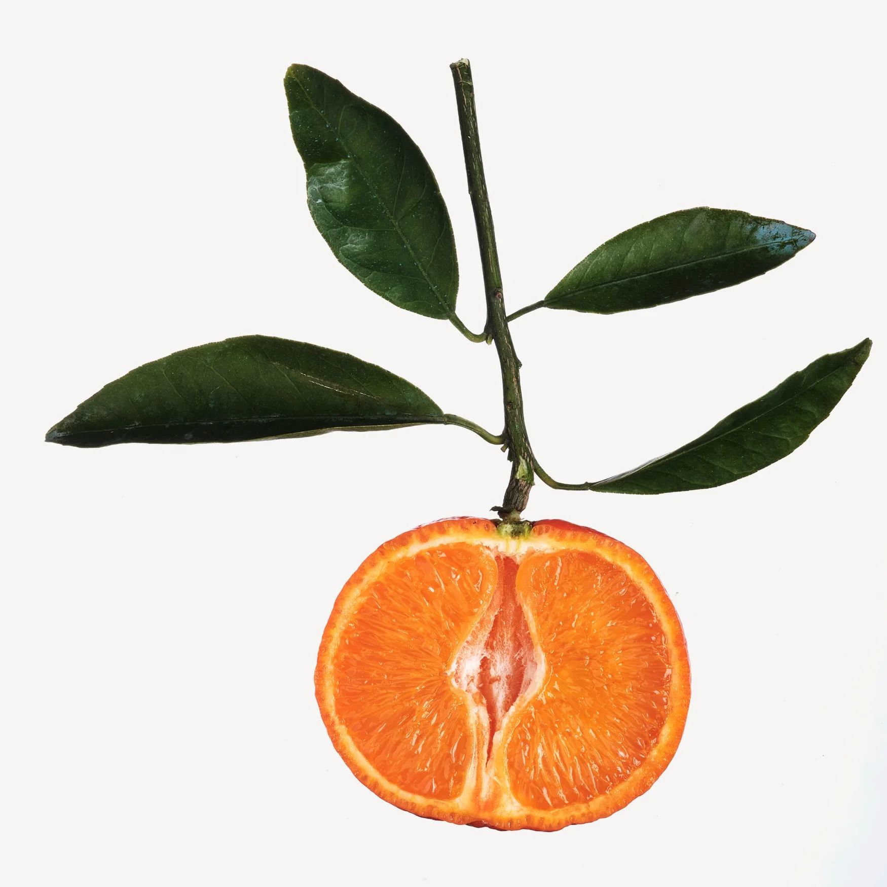 Clementine