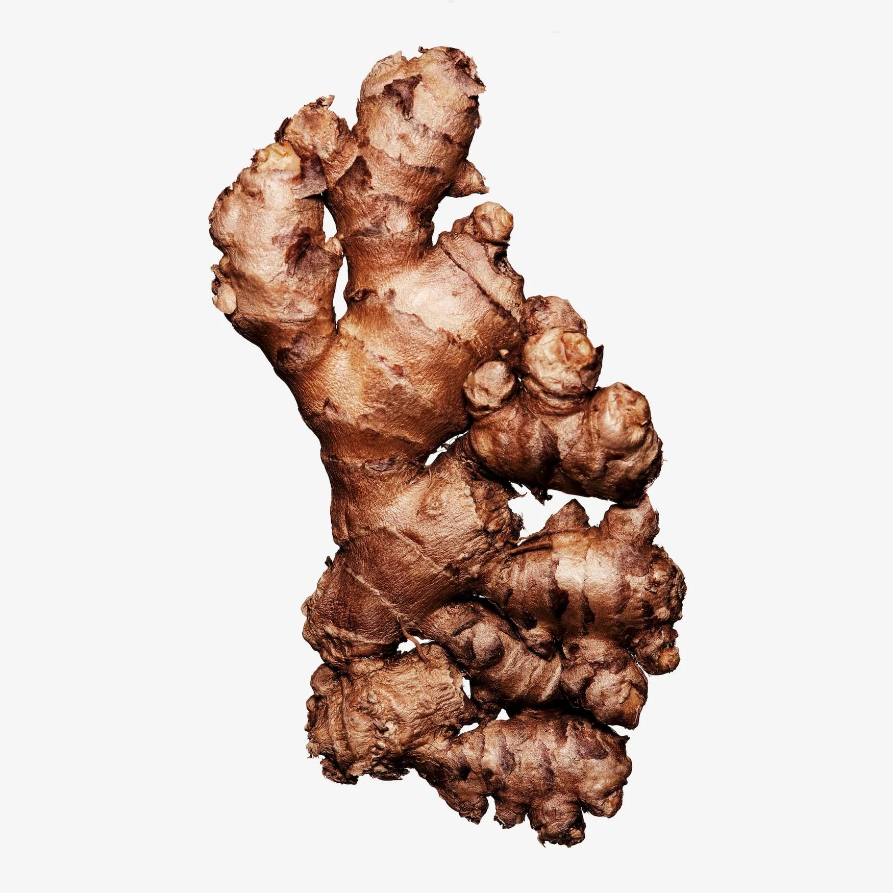 Ginger (Jamaica)