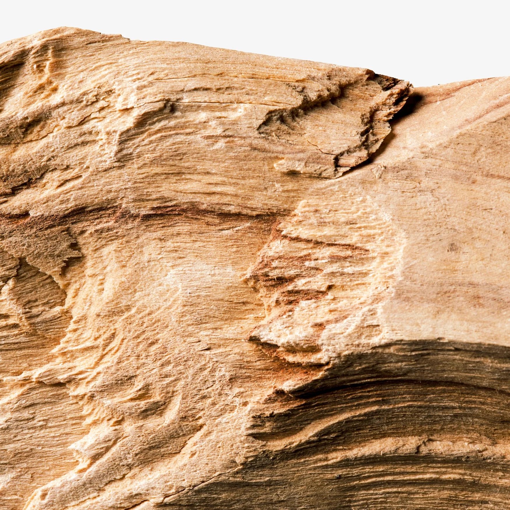 Guaiac Wood