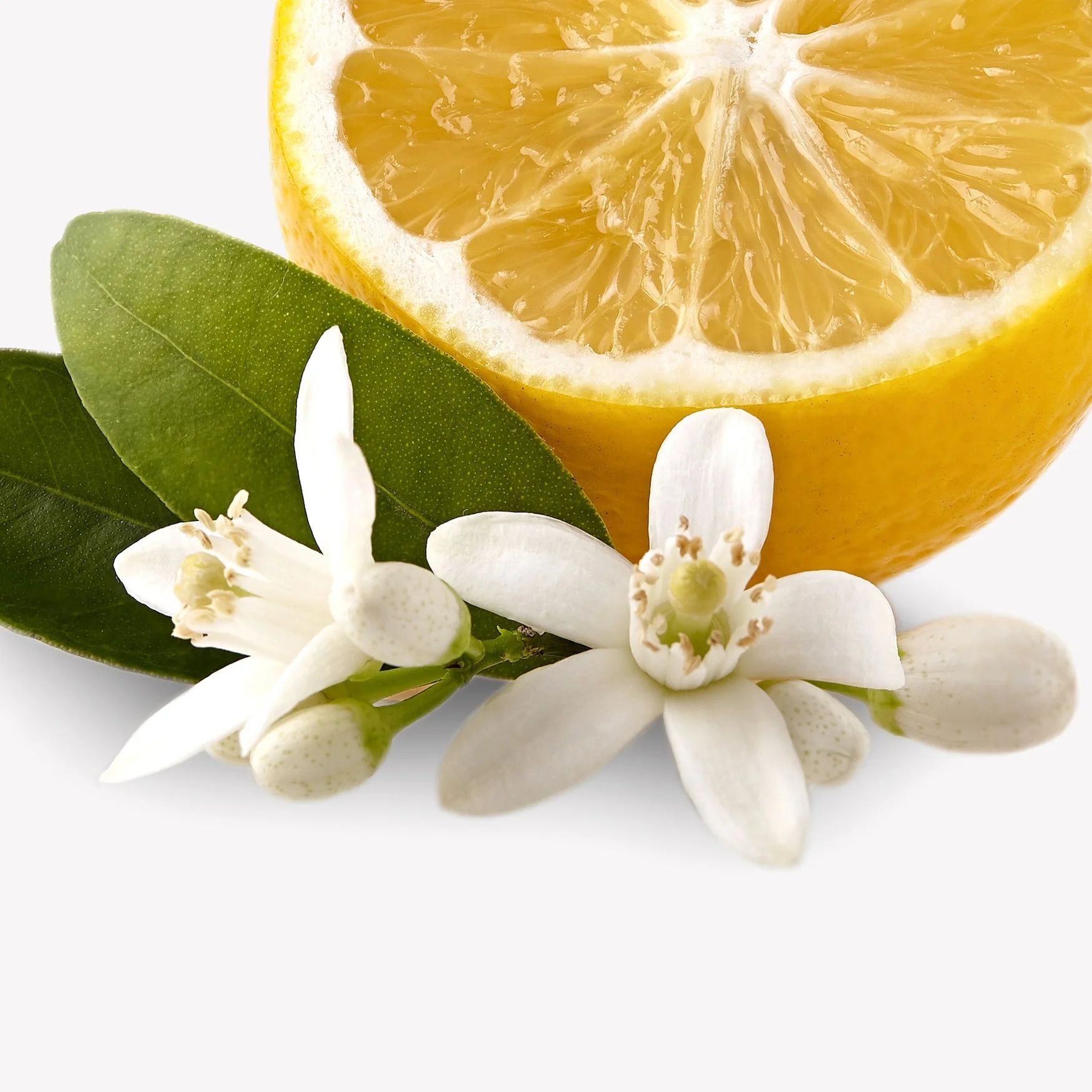Mandarin Orange Blossom