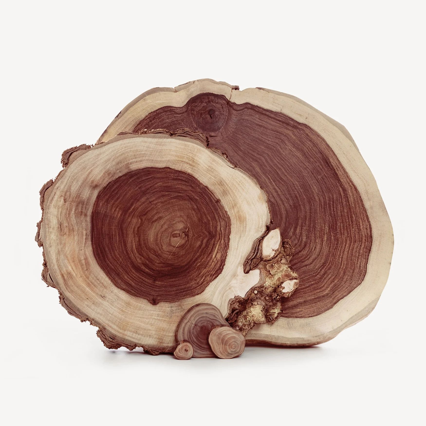 Palisander Rosewood