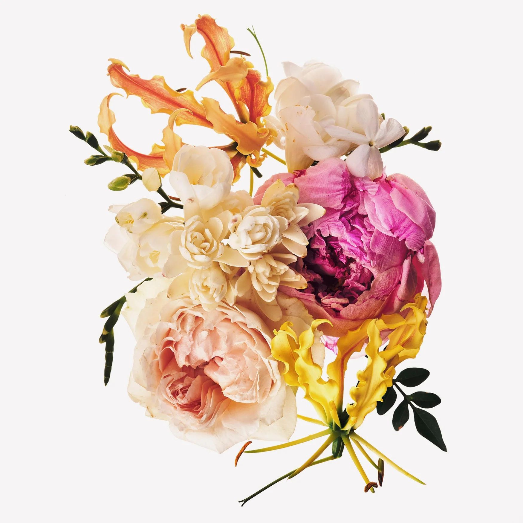 Salicylate (Floral Notes)